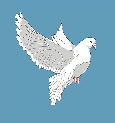 EPS 해외이미지 나무 동물 디자인 실루엣 기독교 종교 지구 컨셉 크리스마스 날개 일러스트 갈매기 조류 하늘 추상 아이디어 사랑 미술 반려동물 평화 검은색 희망 천주교 자유 흰색 나뭇가지 그룹 영혼 보호 심볼 깃털 사인 그림 올리브 비둘기 심플 독수리 해외202004 해외일러스트 식물 기념일 열매 감정 컬러 무늬 문화예술 촬영기법 파일형식 벡터 이미지허브