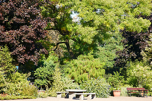 포토 JPG 해외이미지 나무 식물 계절 공원 길 단풍 잎 오렌지 자연 따뜻함 풍경 사람없음 야외 목재 빨간색 초록색 빛 햇빛 갈색 노란색 평화 환경 맑음 침묵 활발 가을 나뭇가지 시골 신선 황금 숲 신비 땅 장면 10월 내추럴 해외202004 해외포토 공공시설 컬러 컨셉 과일 재료 날씨 태양 소리 날짜 생태계 파일형식 이미지허브