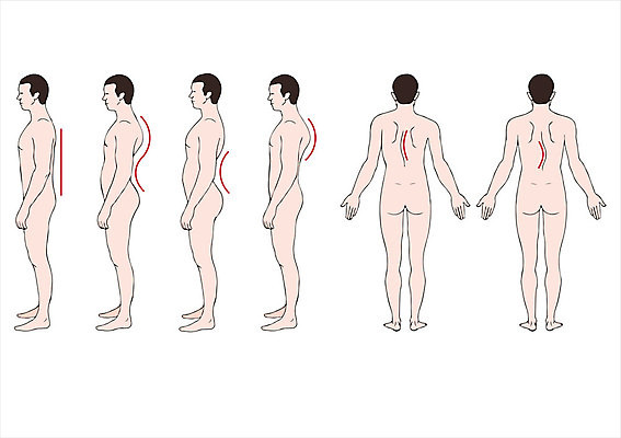 EPS 해외이미지 응시 교육 남자 과학 포즈 곡선 신체 일러스트 해부 뼈 사람 약 고통 환자 의사 가시 오르간 질병 흉부 척추 생물학 덩어리 해외202004 해외일러스트 시선 감정 선 의학 의료진 건반악기 호흡기관 파일형식 벡터 이미지허브