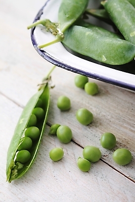 포토 JPG 해외이미지 음식 채소 요리 사람없음 초록색 정원 준비 유기농 완두콩 해외202004 해외포토 웰빙 컬러 콩 파일형식 이미지허브