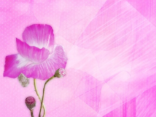 포토 JPG 해외이미지 모양 디자인 행복 실루엣 포스터 종이 분홍색 결혼 백그라운드 패턴 일러스트 벽지 추상 휴가 발렌타인데이 사랑 미술 사람없음 그래픽 장식 우주 축하 인사 신용카드 화려 우아함 심볼 사인 질감 마법 엘리먼트 해외202004 해외포토 감정 컬러 컨셉 무늬 데이이벤트 문화예술 촬영기법 이벤트 금융 예절 파일형식 이미지허브