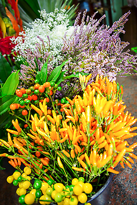 포토 JPG 해외이미지 식물 꽃 백그라운드 꽃무늬 채소 고추 사람없음 장식 빨간색 초록색 컬러풀 정원 성장 발코니 뜨거움 그룹 작음 향신료 유기농 원예 매움 날것 날카로움 후추 모음 내추럴 구성 해외202004 해외포토 웰빙 컬러 무늬 취미 맛 크기 향미료 파일형식 이미지허브