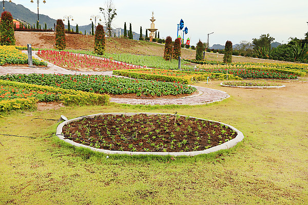 포토 JPG 해외이미지 나무 식물 계절 공원 꽃잎 꽃 백그라운드 잎 꽃무늬 패턴 밭 자연 풍경 잔디 사람없음 야외 장식 빨간색 초록색 여름 컬러풀 정원 봄 활발 성장 벚꽃 시골 신선 개화 네덜란드 원예 조경 화단 장면 내추럴 해외202004 해외포토 공공시설 유럽 컬러 컨셉 무늬 농업 취미 생태계 파일형식 이미지허브