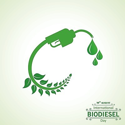 EPS 해외이미지 식물 디자인 컨셉 잎 지도 일러스트 자연 초록색 지구본 환경 재활용 에너지 알코올 플랫 역 심볼 사인 에코 유기농 생태계 연료 가스 자원 내추럴 고립 노즐 디젤 바이오 생태학 인터페이스 카놀라 화학물질 해외202004 해외일러스트 웰빙 교육 컬러 교통시설 화학 친환경 파일형식 벡터 이미지허브