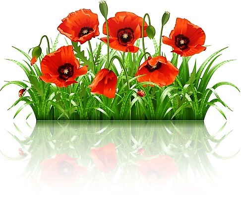 EPS 해외이미지 식물 계절 꽃잎 꽃 꽃다발 잎 꽃무늬 밭 일러스트 자연 휴식 장식 빨간색 초록색 머리 정원 봄 활발 신선 개화 5월 허브 묘사 흰배경 양귀비 내추럴 고립 생태학 해외202004 해외일러스트 교육 컬러 백그라운드 컨셉 무늬 농업 신체부위 흰색 날짜 생태계 파일형식 벡터 이미지허브