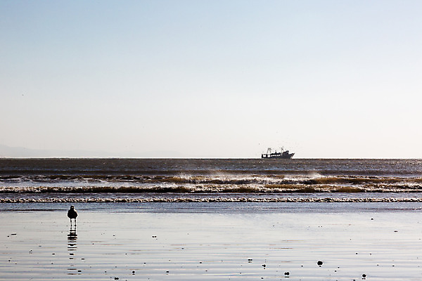 포토 JPG 해외이미지 직업 실루엣 산업 파도 바다 농업 교통시설 자연 갈매기 하늘 낚시 항해 파노라마 어류 풍경 사람없음 물 파란색 빛 태양 반사 평화 일출 항구 황혼 일몰 추위 어선 보트 크루즈 함선 상업 낚시꾼 수평선 슈퍼푸드 해외202004 해외포토 자연요소 컬러 교통 컨셉 배_교통 조류 레저 촬영기법 노을 수중동물 시설 생태계 건강식품 파일형식 이미지허브