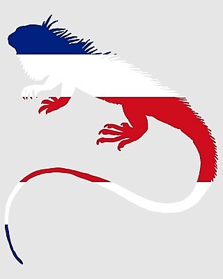 EPS 해외이미지 동물 배너 실루엣 백그라운드 일러스트 파충류 빨간색 파란색 미국 흰색 깃발 중앙 심볼 사인 도마뱀 이구아나 남쪽 고립 동물상 전국 해외202004 해외일러스트 컬러 북아메리카 촬영기법 조형물 방향 파일형식 벡터 이미지허브