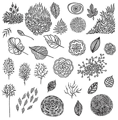 EPS 해외이미지 식물 손 디자인 꽃잎 꽃 줄기 잎 꽃무늬 패턴 일러스트 자연 그래픽 세트 수확 스케치 수집 허브 그림 복고 내추럴 해외202004 해외일러스트 무늬 농업 미술 신체부위 생태계 파일형식 벡터 이미지허브