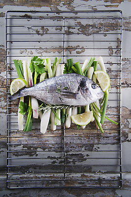 포토 JPG 해외이미지 실내 사람없음 그릴 날것 도미 라임 파 로즈메리 나무배경 해외202004 해외포토 백그라운드 채소 과일 주방용품 어류 내부 허브 파일형식 이미지허브