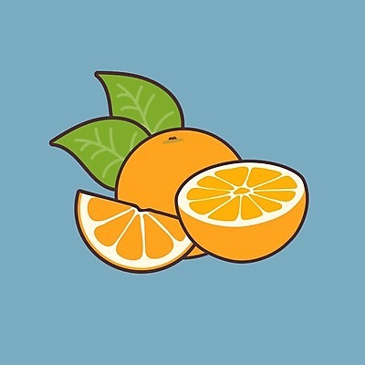 EPS 해외이미지 음식 조각 백그라운드 잎 다이어트 오렌지 과일 일러스트 자연 디저트 귤 건강 노란색 주스 흰색 신선 달콤 맛 자르기 먹기 오브젝트 유기농 날것 내추럴 고립 숙성 이국적 채식주의자 해외202004 해외일러스트 식물 웰빙 음료 컬러 컨셉 모션 생태계 채식 파일형식 벡터 이미지허브