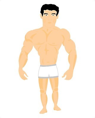 EPS 해외이미지 남자 스포츠 포즈 신체 일러스트 근육 건강 사람 소년 청년 성인 힘 흰색 만화 보디빌딩 보디빌더 준비 체육관 근육질 팔 송곳 이두근 힘찬 해외202004 해외일러스트 어린이 컬러 컨셉 신체부위 헬스 몸매 파일형식 벡터 이미지허브