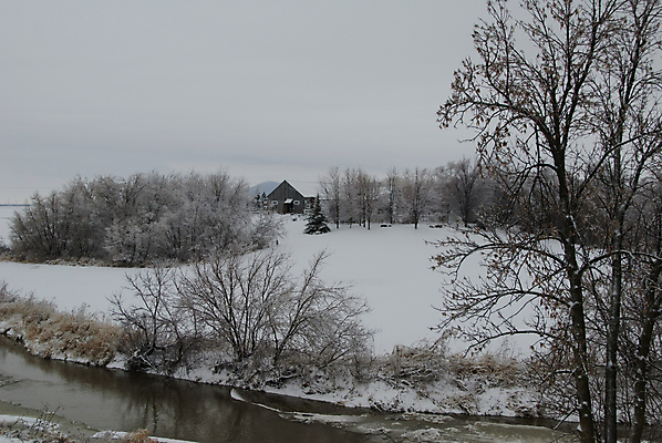 포토 JPG 해외이미지 나무 구름 계절 겨울 밭 자연 풍경 사람없음 농장 추위 흰색 시골 숲 해외202004 해외포토 자연요소 식물 컬러 농업 생태계 파일형식 이미지허브