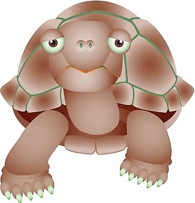 EPS 해외이미지 동물 캐릭터 손 행복 야생동물 어린이 백그라운드 일러스트 파충류 자연 생물 동물원 서기 미소 초록색 세계 숫자 환경 방 껍질 흰색 거북이 만화 심볼 사인 생물학 만들기 코믹 느림 고립 등딱지 마스코트 해외202004 해외일러스트 일러캐릭터 문자 교육 감정 컬러 모션 표정 사람 신체부위 생태계 파일형식 벡터 이미지허브