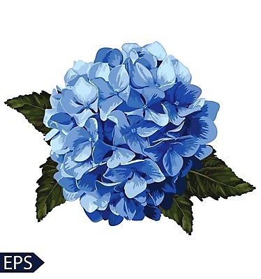 EPS 해외이미지 식물 손 디자인 배너 꽃잎 꽃 실루엣 종이 꽃다발 결혼 백그라운드 잎 꽃무늬 패턴 일러스트 자연 벽지 추상 미술 그래픽 장식 초록색 여름 파란색 정원 봄 수확 벚꽃 흰색 신용카드 생일 문신 그림 질감 복고 수국 고립 현실 해외202004 해외일러스트 계절 기념일 컬러 무늬 농업 문화예술 촬영기법 이벤트 신체부위 금융 생태계 파일형식 벡터 산업 사람 경제 이미지허브