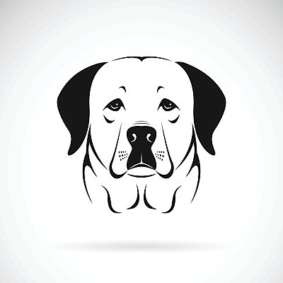 EPS 해외이미지 일러스트 사람없음 반려동물 검은색 흰색 개 강아지 래브라도리트리버 해외202004 해외일러스트 동물 컬러 포유류 리트리버 파일형식 벡터 이미지허브