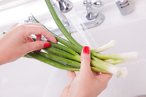 포토 JPG 해외이미지 여자 음식 가사 채소 양파 주택 건강 관리 요리 사람없음 초록색 물 주방 요리사 저녁식사 젖음 수확 씻기 빨래 싱크대 준비 유기농 주부 레시피 대야 내추럴 채식주의자 해외202004 해외포토 자연요소 직업 웰빙 컬러 농업 사람 건물 식사 청결 개수대 채식 파일형식 이미지허브