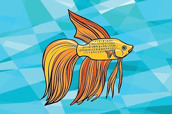 EPS 해외이미지 동물 바다 일러스트 태국 자연 낚시 어류 미술 가로 빨간색 물 파란색 컬러풀 수중 수확 점 수비 만화 흰배경 그림 눈금 복고 생물학 꼬리 싸움 베트남 인도네시아 코믹 지느러미 수족관 병정 수탉 말레이시아 고립 상대 토너먼트 팝 스타일 해외202004 해외일러스트 자연요소 교육 아시아 컬러 백그라운드 농업 모션 레저 문화예술 동남아시아 수중동물 흰색 닭 수컷 생태계 파일형식 벡터 이미지허브