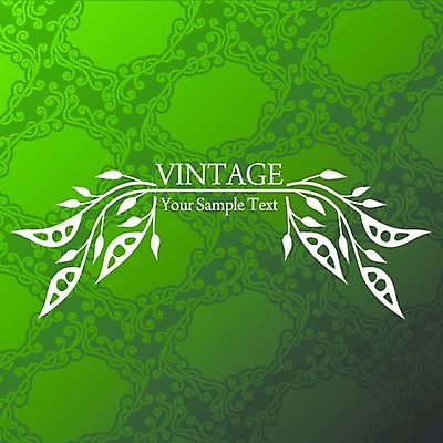 EPS 해외이미지 식물 꽃 백그라운드 잎 꽃무늬 곡선 일러스트 프레임 사람없음 해외202004 해외일러스트 선 무늬 파일형식 벡터 이미지허브