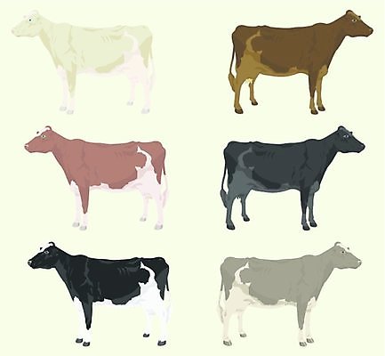 EPS 해외이미지 동물 디자인 실루엣 농업 일러스트 포유류 자연 육류 그래픽 마을 검은색 회색 우유 흰색 점 소 황소 윤곽 젖 내추럴 송아지 동물상 해외202004 해외일러스트 산업 새끼 컬러 식재료 유제품 촬영기법 조형물 생태계 파일형식 벡터 이미지허브