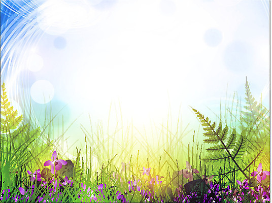 EPS 해외이미지 식물 계절 꽃 잎 꽃무늬 밭 일러스트 자연 아침 날씨 프레임 잔디 초록색 여름 환경 정원 맑음 화목 침묵 봄 활발 들꽃 성장 벚꽃 개화 내추럴 비올라 양치류 카피스페이스 해외202004 해외일러스트 주간 컬러 컨셉 무늬 농업 소리 공백 생태계 파일형식 벡터 찰현악기 이미지허브