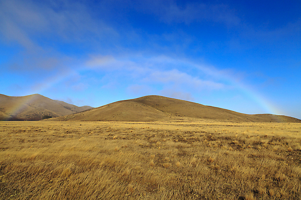 포토 JPG 해외이미지 구름 계절 공원 섬 백그라운드 무지개 밭 곡선 자연 하늘 날씨 산 건조 풍경 잔디 사람없음 야외 초록색 여름 파란색 햇빛 태양 농장 농경지 갈색 환경 맑음 희망 봄 시골 땅 언덕 뉴질랜드 장면 통과 남쪽 내추럴 스펙트럼 수평선 해외202004 해외포토 자연요소 식물 공공시설 감정 선 컬러 농업 오세아니아 방향 생태계 파일형식 이미지허브