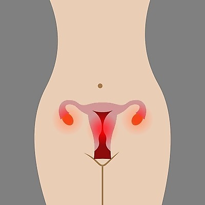 EPS 해외이미지 모양 디자인 여자 과학 신체 일러스트 해부 건강 사람 약 계란 임신 시험 오르간 플랫 심볼 생물학 순환 시스템 태아 자궁 고립 돌봄 해외202004 해외일러스트 교육 의학 모션 알 건반악기 장기 파일형식 벡터 이미지허브