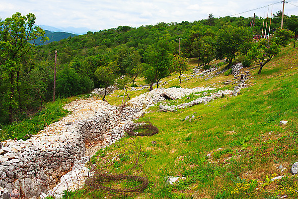 포토 JPG 해외이미지 사람없음 역사 터널 큼 전쟁 병정 전쟁터 해외202004 해외포토 길 크기 파일형식 이미지허브