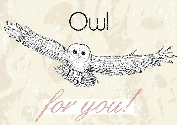 EPS 해외이미지 디자인 배너 커플 행복 포스터 어린이 결혼 백그라운드 일러스트 캘리그라피 남편 휴가 발렌타인데이 선물 사랑 장식 세트 라벨 수확 흰색 하트 아기 인사 아내 신용카드 달콤 복고 엽서 초대 부엉이 2월 필기체 해외202004 해외일러스트 모양 문자 감정 컬러 농업 관계 데이이벤트 조류 프레임 사람 이벤트 금융 예절 날짜 맛 편지 파일형식 벡터 이미지허브