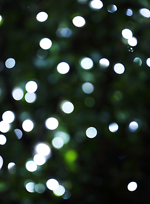 포토 JPG 해외이미지 나무 디자인 계절 백그라운드 크리스마스 겨울 벽지 추상 휴가 전등 새로움 미술 사람없음 장식 초록색 파란색 빛 노란색 우주 축제 어둠 축하 원형 야간 소프트포커스 크리스탈 연도 질감 보케 네온 부드러움 마법 광 블러 효과 해외202004 해외포토 자연요소 도형 식물 기념일 컬러 컨셉 무늬 문화예술 조명 촬영기법 감각 광석 파일형식 이미지허브