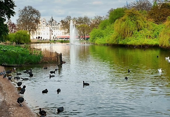 포토 JPG 해외이미지 나무 식물 공원 유럽 호수 건축양식 자연 영국 잉글랜드 사람없음 가로 세로 초록색 물 파란색 도시풍경 반사 가을 연못 환경보전 런던 스카이라인 해외202004 해외포토 자연요소 계절 공공시설 건축 나라 컬러 풍경 도시 사회이슈 생태계 파일형식 이미지허브
