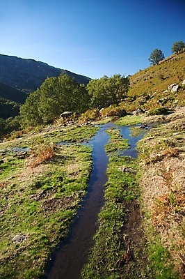 포토 JPG 해외이미지 유럽 자연 산 바닥 풍경 사람없음 야외 초록색 물 강 바위 시골 개울 스페인 해외202004 해외포토 자연요소 나라 컬러 돌_바위 생태계 파일형식 이미지허브