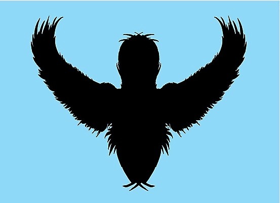 EPS 해외이미지 클립아트 실루엣 길 날개 일러스트 자연 갈매기 조류 오리 병아리 종류 파란색 세트 검은색 자르기 왜가리 플라밍고 문신 깃털 기중기 비둘기 사냥 클립 앵무새 윤곽 독수리 참새 거위 부족 벌새 집게발 황새 해외202004 해외일러스트 동물 컬러 컨셉 모션 촬영기법 중장비 생태계 파일형식 벡터 이미지허브