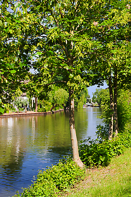 포토 JPG 해외이미지 나무 자연 풍경 사람없음 세로 물 강 네덜란드 해외202004 해외포토 자연요소 식물 유럽 생태계 파일형식 이미지허브