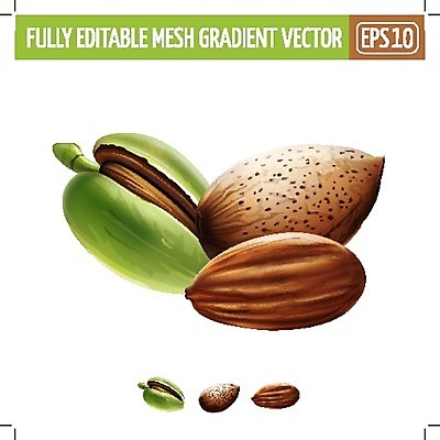 EPS 해외이미지 클립아트 음식 조각 잎 일러스트 재료 포장 자연 디저트 요리 그래픽 장식 컬러풀 라벨 주방 식당 견과류 수확 신선 맛 먹기 에코 유기농 날것 배지 아몬드 내추럴 고립 숙성 채식주의자 개암 현실 해외202004 해외일러스트 식물 웰빙 열매 컬러 컨셉 농업 모션 프레임 환경 상점 생태계 채식 파일형식 벡터 이미지허브