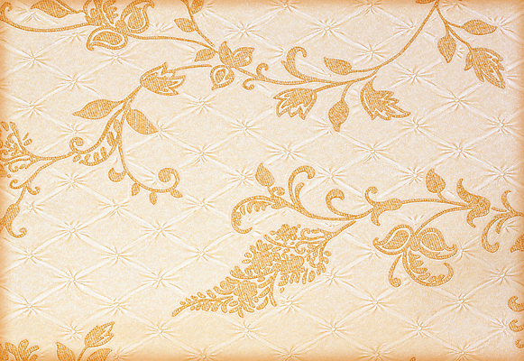 포토 JPG 해외이미지 식물 템플릿 디자인 백그라운드 잎 패턴 일러스트 벽지 추상 미술 사람없음 장식 빛 유행 수확 소용돌이 인사 신용카드 화려 재산 클래식 고급 우아함 복고 초대 모자이크 비네팅 구식 르네상스 빅토리아 옛날 회복 디테일 해외202004 해외포토 컨셉 무늬 농업 문화예술 촬영기법 금융 회오리 예절 파일형식 이미지허브