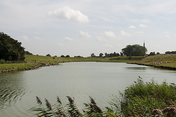 포토 JPG 해외이미지 동물 구름 호수 자연 하늘 풍경 사람없음 초록색 물 양 소 네덜란드 해외202004 해외포토 자연요소 유럽 컬러 포유류 생태계 파일형식 이미지허브