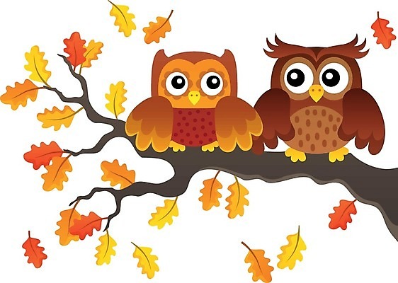 EPS 해외이미지 모양 동물 응시 계절 잎 날개 일러스트 자연 조류 미술 가을 나뭇가지 부엉이 고립 동물상 테마 스타일 해외202004 해외일러스트 나무 식물 시선 문화예술 조형물 생태계 파일형식 벡터 이미지허브