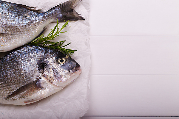 포토 JPG 해외이미지 사람없음 흰배경 날것 도미 후추 로즈메리 카피스페이스 해외202004 해외포토 백그라운드 어류 공백 흰색 허브 향신료 파일형식 이미지허브