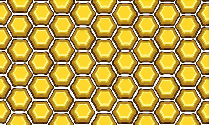 EPS 해외이미지 디자인 음식 백그라운드 오렌지 일러스트 자연 추상 세포 그래픽 노란색 황금 달콤 벌 그림 육각형 꿀 벌집 대칭 멀티 밀랍 해외202004 해외일러스트 도형 컬러 곤충 무늬 과일 맛 생태계 파일형식 벡터 이미지허브