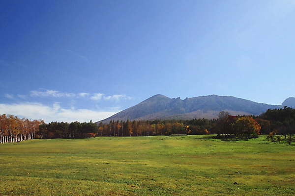 포토 JPG 해외이미지 나무 식물 계절 아시아 잎 자연 산 풍경 사람없음 야외 목재 컬러풀 노란색 일본 가을 숲 수평선 해외202004 해외포토 나라 컬러 재료 생태계 파일형식 이미지허브