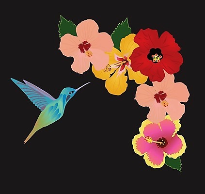 EPS 해외이미지 식물 동물 꽃 야생동물 줄기 날개 일러스트 자연 조류 사랑 미술 장식 빨간색 여름 화목 봄 신용카드 수분 싱글 그림 양귀비 꿀 단아함 벌새 해외202004 해외일러스트 계절 감정 컬러 컨셉 문화예술 금융 생태계 파일형식 벡터 이미지허브