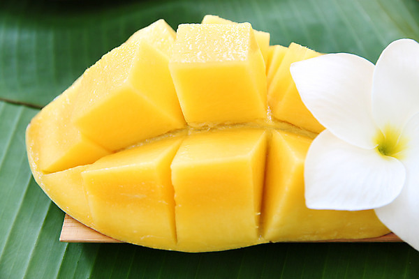 포토 JPG 해외이미지 접시 음식 조각 잎 다이어트 과일 부분 태국 자연 디저트 건강 사람없음 신선 달콤 자르기 먹기 큐브 오브젝트 유기농 지역 망고 내추럴 숙성 채식주의자 해외202004 해외포토 식물 식기 웰빙 아시아 모션 맛 열대과일 생태계 채식 파일형식 이미지허브