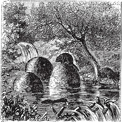 EPS 해외이미지 나무 동물 야생동물 일러스트 포유류 자연 주택 털 동물원 미술 목재 물 검은색 침묵 수확 골동품 흰색 연못 설치류 숲 인쇄 작음 오두막 댐 모피 사파리 그림 판화 내추럴 동물상 비버 옛날 해외202004 해외일러스트 자연요소 식물 공공시설 컬러 농업 재료 문화예술 건물 조형물 소리 크기 생태계 파일형식 벡터 이미지허브