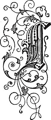 EPS 해외이미지 선 꽃무늬 일러스트 미술 장식 검은색 수확 흰색 편지 그림 판화 L 해외202004 해외일러스트 알파벳 꽃 컬러 무늬 농업 문화예술 파일형식 벡터 이미지허브