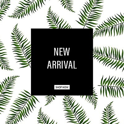 EPS 해외이미지 디자인 배너 계절 백그라운드 스티커 잎 일러스트 비즈니스 자연 새로움 손바닥 선물 꼬리표 라벨 판매 세일 상점 검은색 쪽지 웹 흰색 메시지 시장 황금 모서리 구매 상품 수집 도착 심볼 사인 배지 질서 소매 승진 고립 어려움 엘리먼트 특별함 해외202004 해외일러스트 식물 손 컬러 컨셉 인터넷 프레임 쇼핑 예절 생태계 파일형식 벡터 이미지허브