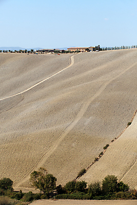 포토 JPG 해외이미지 나무 선 패턴 밭 농업 자연 건조 풍경 사람없음 여름 평화 환경 고요 이탈리아 사막 달력 성장 가을 시골 만취 언덕 부식 그림 포도밭 장면 시에나 토스카나 해외202004 해외포토 식물 계절 유럽 산업 컨셉 무늬 생태계 술취함 파일형식 이미지허브