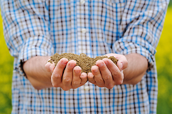 포토 JPG 해외이미지 식물 백인 1 계절 남자 밭 농업 자연 노동자 관리 한명 사람 야외 농장 농경지 환경 흙 봄 성장 시골 농부 땅 유채 유기농 먼지 내추럴 거름 땅바닥 모종 심기 원예사 카놀라 세련 해외202004 해외포토 서양인 직업 웰빙 꽃 산업 모션 바닥 생태계 파일형식 이미지허브