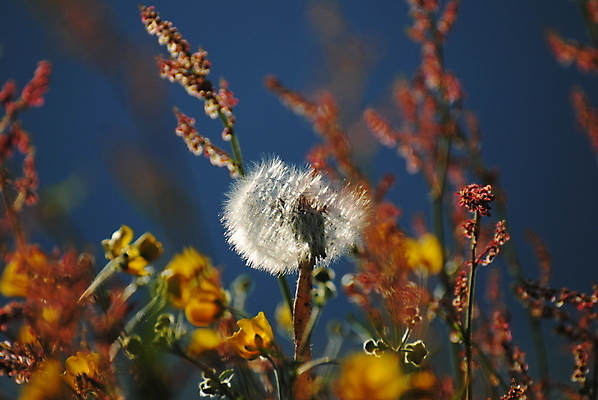 포토 JPG 해외이미지 노르웨이 사람없음 여름 해외202004 해외포토 계절 유럽 파일형식 이미지허브