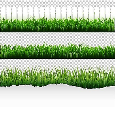 EPS 해외이미지 나무 식물 계절 공원 백그라운드 잎 패턴 밭 일러스트 자연 추상 바닥 잔디 장식 가로 초록색 빛 농장 새싹 환경 정원 봄 활발 흰색 신선 땅 오브젝트 질감 내추럴 고립 해외202004 해외일러스트 공공시설 컬러 컨셉 무늬 농업 생태계 파일형식 벡터 이미지허브