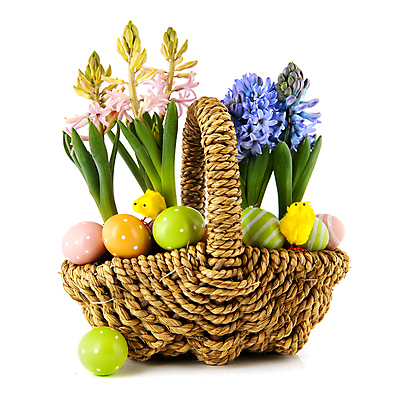 포토 JPG 해외이미지 꽃 분홍색 백그라운드 전구 휴가 부활절 병아리 사람없음 장식 초록색 파란색 컬러풀 바구니 봄 흰색 고립 해외202004 해외포토 식물 계절 기념일 컬러 조류 파일형식 이미지허브